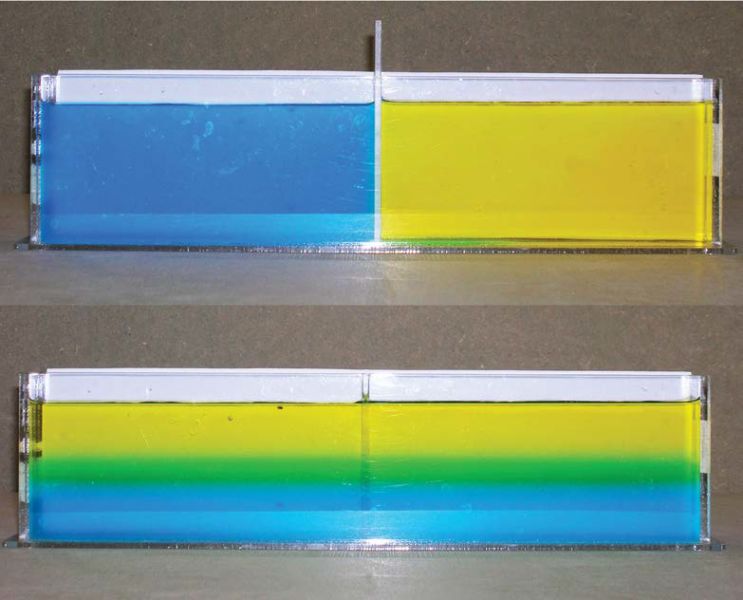 Two liquids of different densities and colours are held in a transparent container ad separated by a plastic divider. When the divider is removed, the two liquids mix and then separate into two layers based on their density (denser at the bottom)