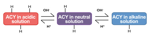 Figure 2: Simplified representation of the chemical equilibrium responsible for the change in the colour of the anthocyanin ink