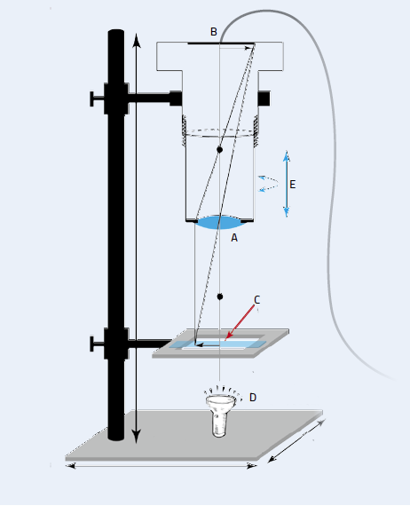 The homemade microscope