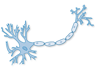 issue38_membrane