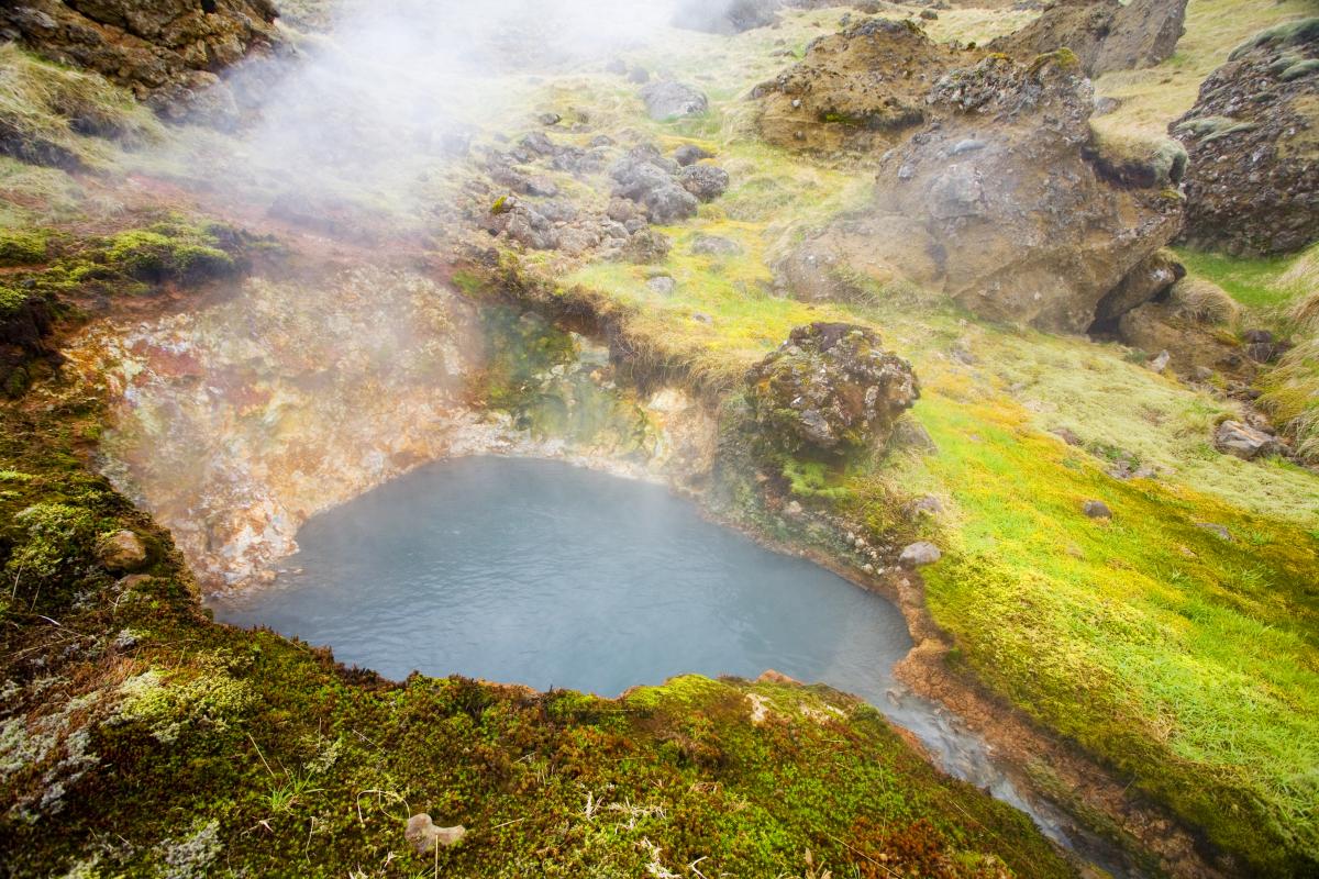 Volcanically heated water provides ideal conditions for thermophiles in Iceland’s many geothermal hot spots