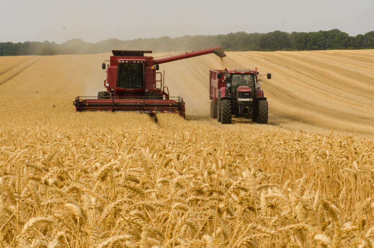 Research into plant circadian clocks has important implications for agricultural productivity.