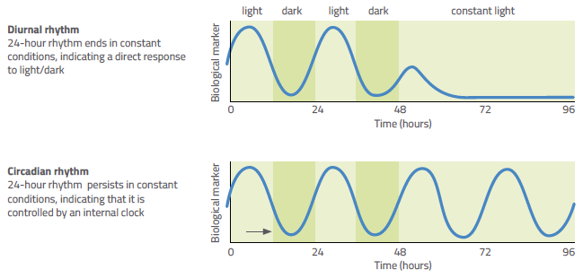Figure 1: Experimental test to identify a diurnal or circadian rhythm