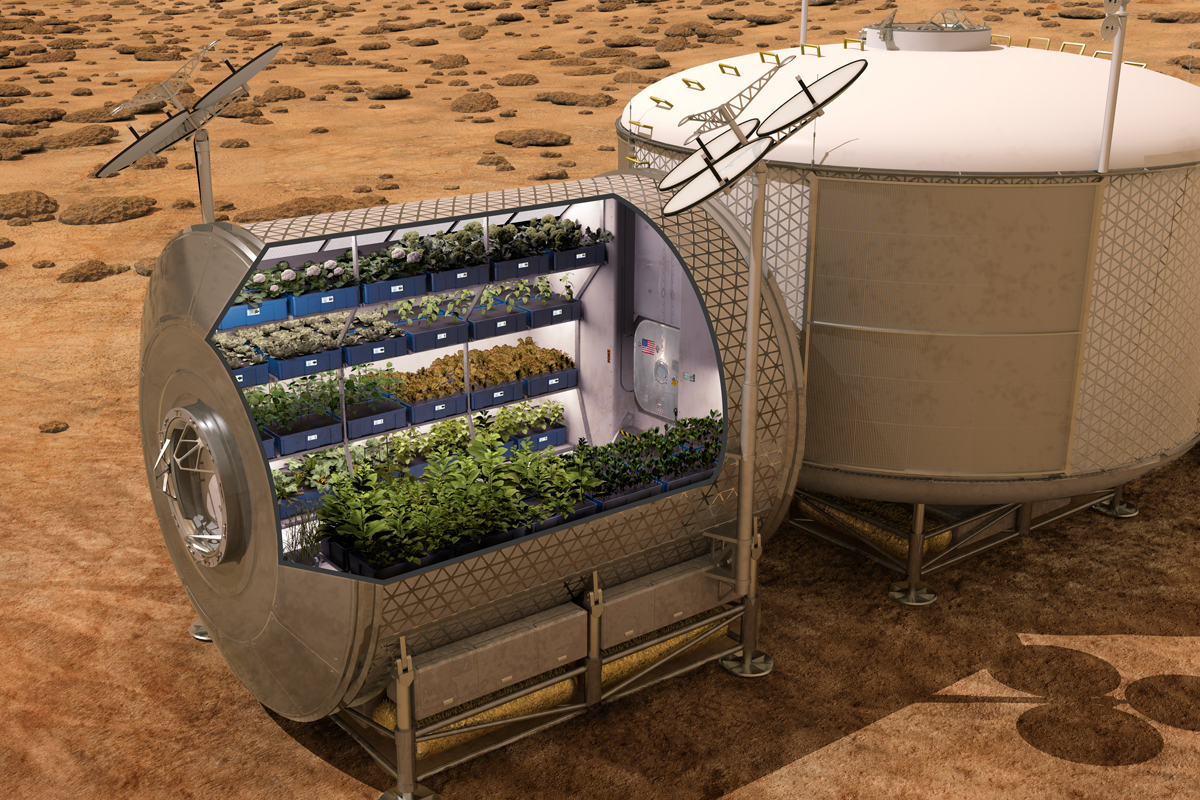 Astronauts plan to grow food on future spacecraft and other planets to enable self-sufficient space exploration