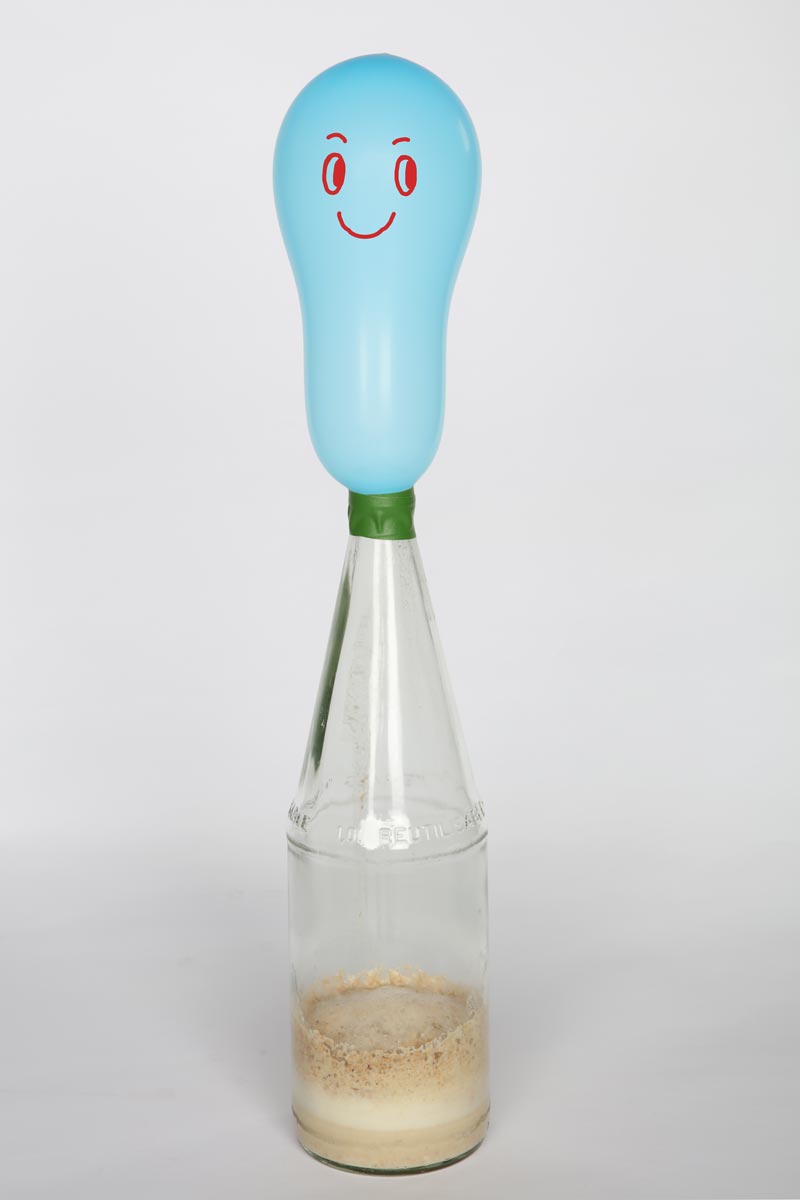 ‘Genie in a bottle’ experiment
