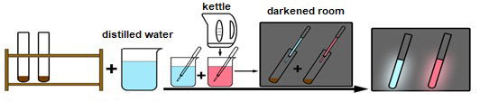 The final steps of activity 2 when the luminescence reaction is triggered