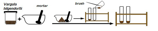 The setup for activity 2