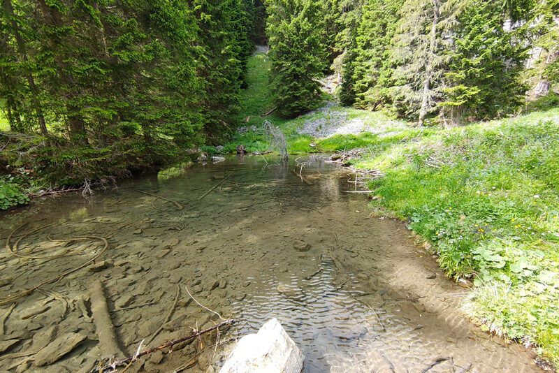 A freshwater spring in the Alps.