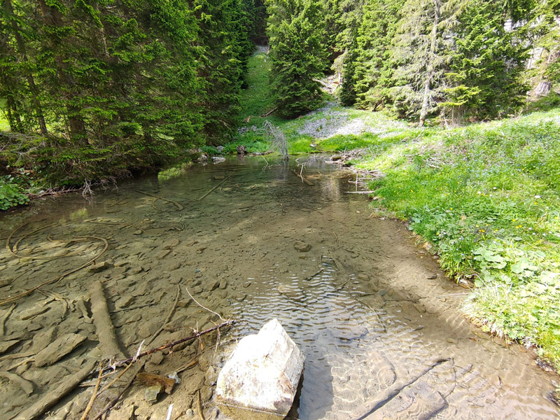 Un manantial de agua dulce en los Alpes