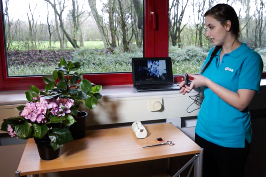 A female standing next to a wooden desk, holding webcam pointing at a pot of flowers.