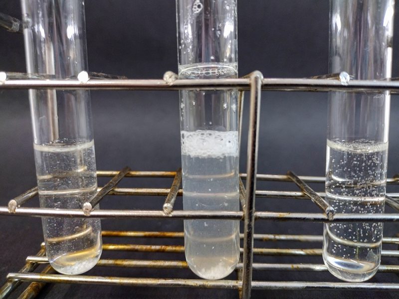 Three test tubes in a metal rack containing colourless liquids and gas bubbles of different sizes in the liquids. The tube in the middle features a foam layer on top of the liquid.