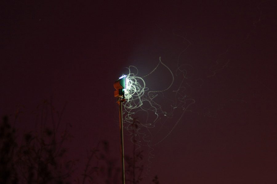 Floodlight against a dark sky. The light illuminates insects flying in front of it, leaving ‘light traces’.
