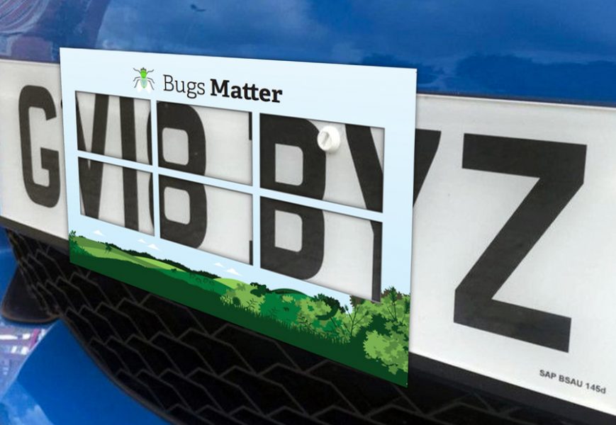 License plate attached to the front of a blue car. On top of the plate, a plastic grid with label ‘bugs matter’ has been added.