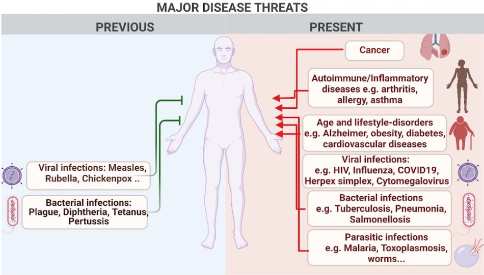 Outline of a human with text boxes listing major disease treats, such as cancer, infections, autoimmune and inflammatory diseases.