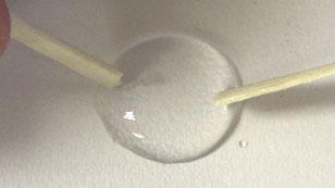 Palillos que empujan los cristales de nitrato de plata y yoduro de potasio hacia una gota de disolvente desde ambos lados de la gota de agua.