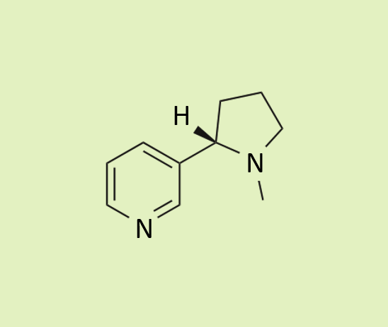 Chemical structure of nicotine