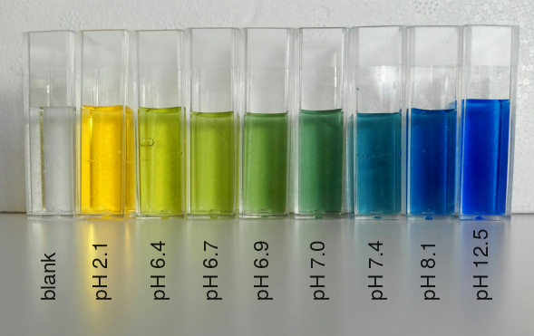 The colours of bromothymol blue across the pH range. It gets from yellow at pH 2.1 to dark green at pH 7 and dark blue at pH 12.5