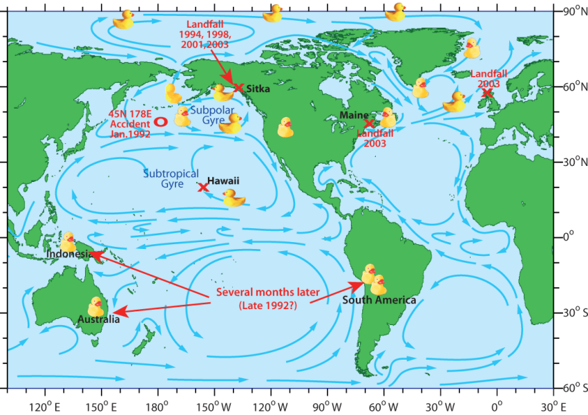 A world map where the places and times the rubber ducks washed up are shown. Ocean currents are represented with arrows.