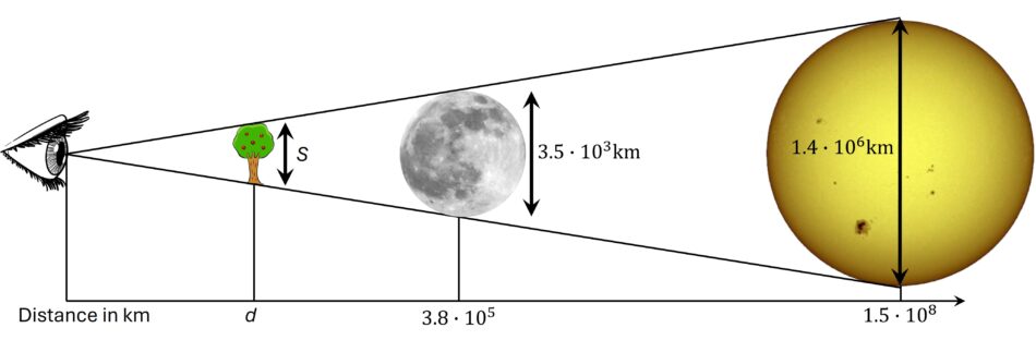 All three objects (from left to right: a tree, the moon, the sun) appear to have the same size when viewed from the position on the left (not to scale).
