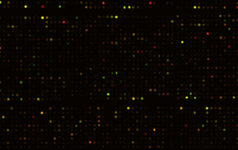 issue12microarray