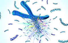 issue23chromosomes