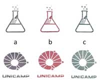 Changing colours with different pH solutions. (a) Initial colour print, (b) after acid treatment, and (c) after alkali treatment