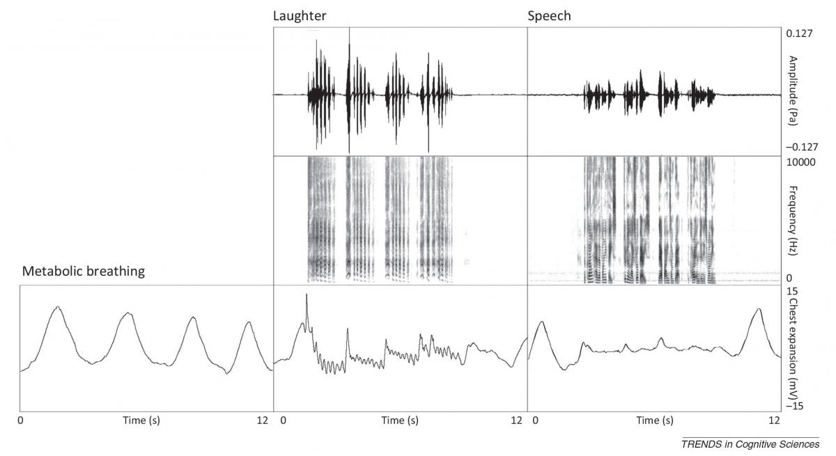 breathing measurements