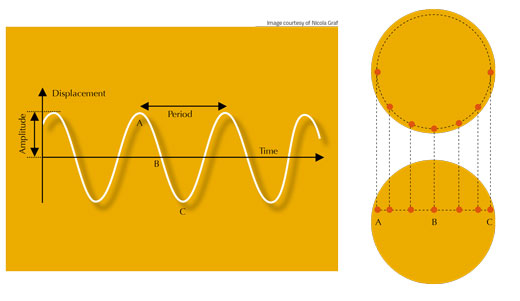 sunspot movement