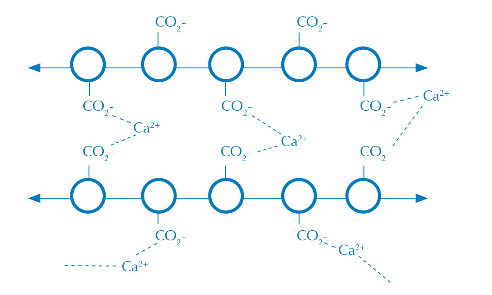 Alginate polymer with crosslinks