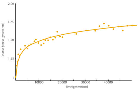 Evolution in action: the 67 000-generation experiment – Science in School