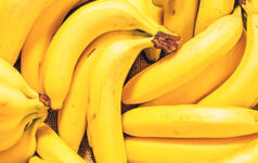 issue44_banana_teaser