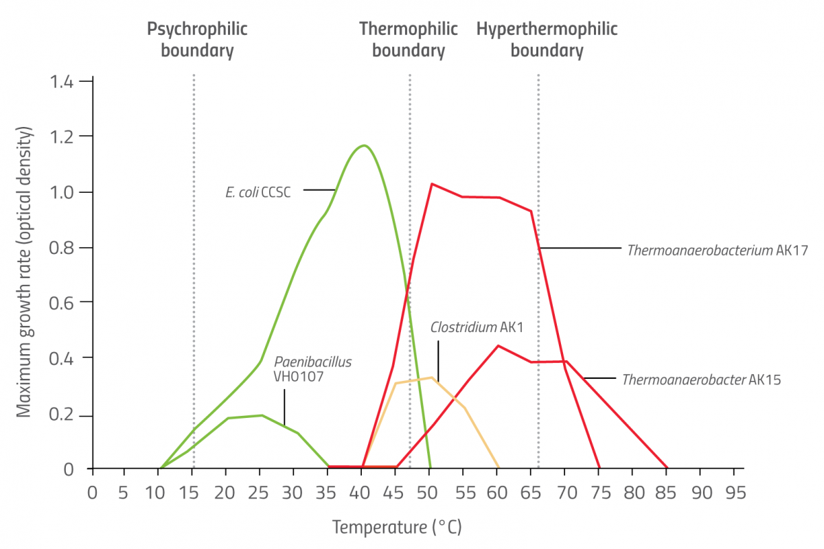 Graph showing the optimum temperature range of several different microorganisms
