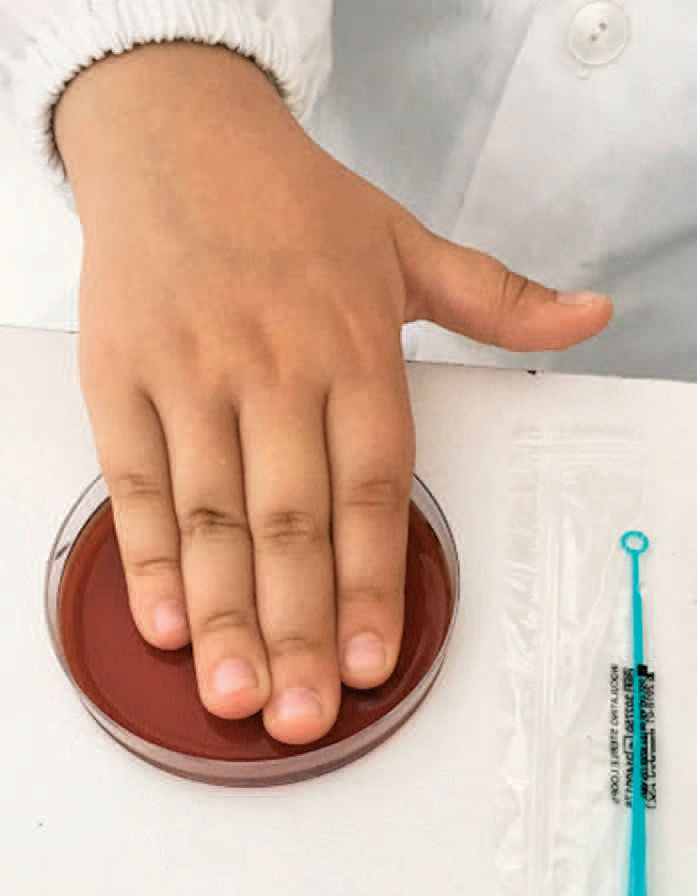 Pupils press their fingers onto agar