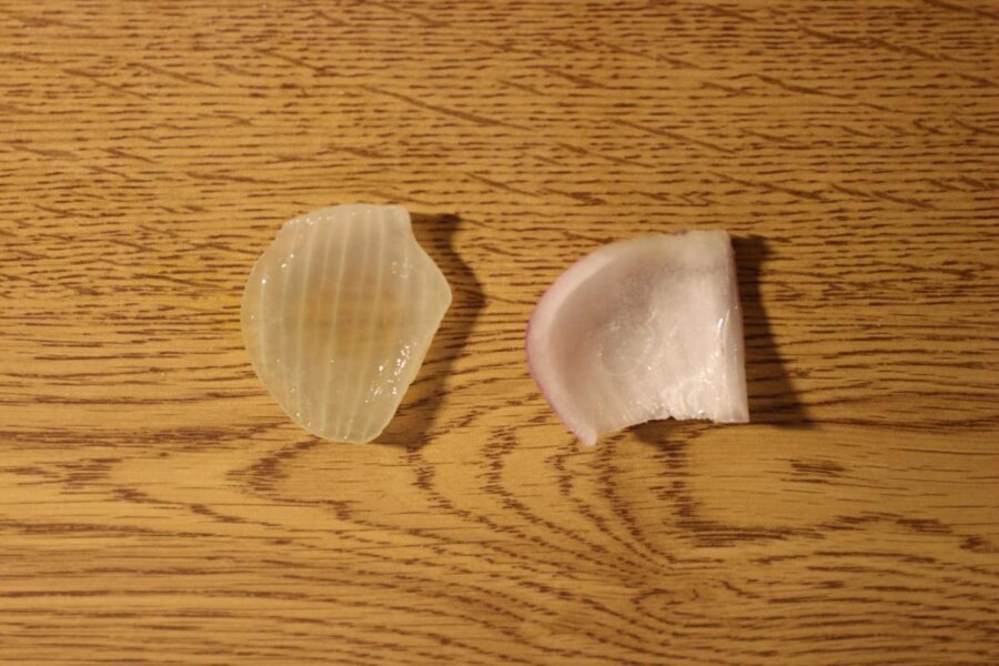 Which laundry enzymes work best? Science in School