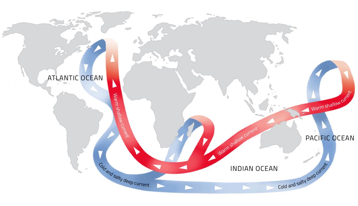 Thermohaline circulation of the world’s oceans