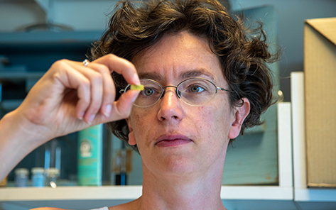 Synchrotron scientist and art conservation researcher Marine Cotte