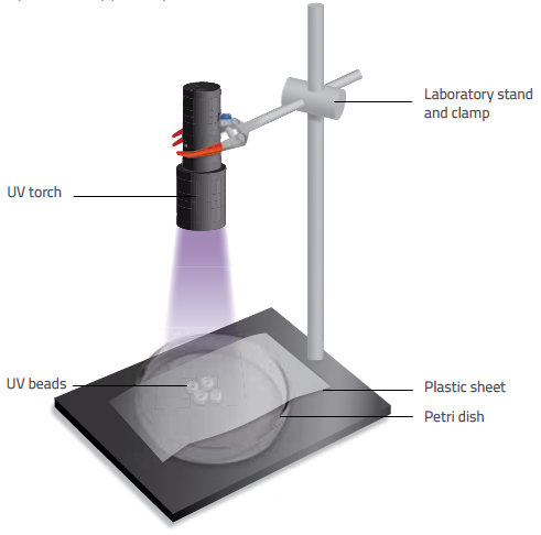 Experimental setup for activity 3