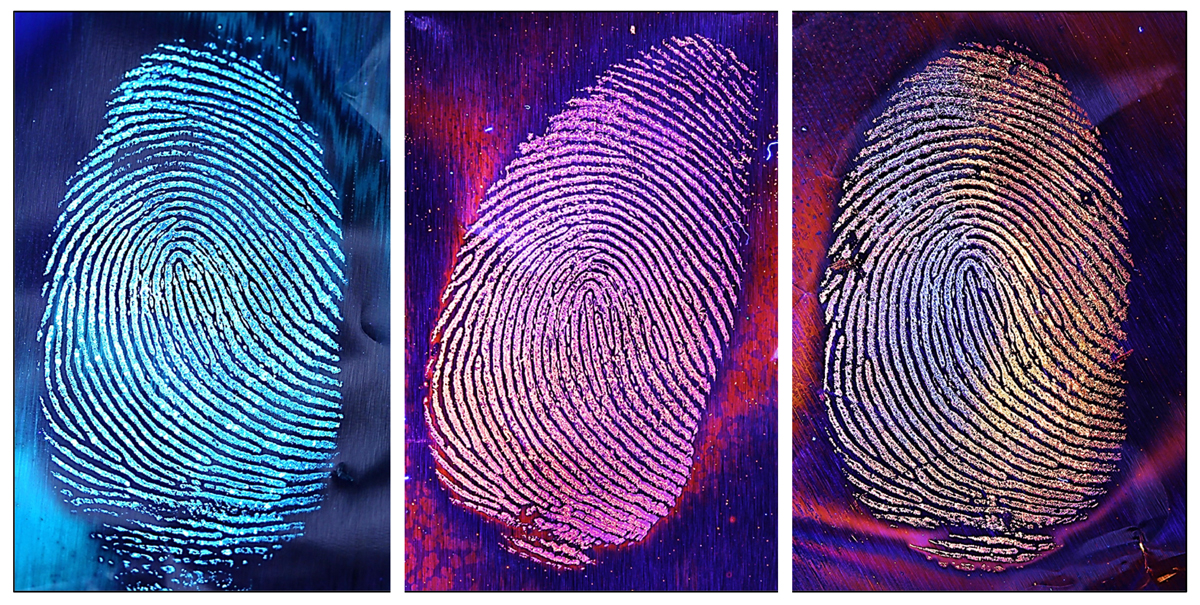 Figure 7: Fluorescent superglue fingerprints under UV light