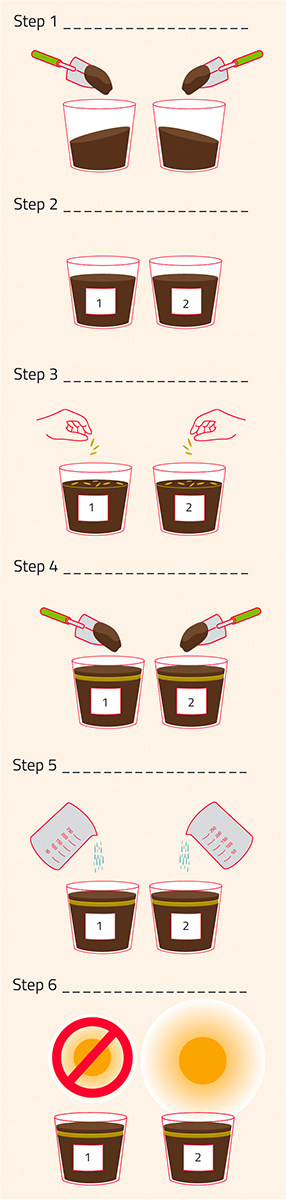 Procedure for activity 1, which explores whether plants need light