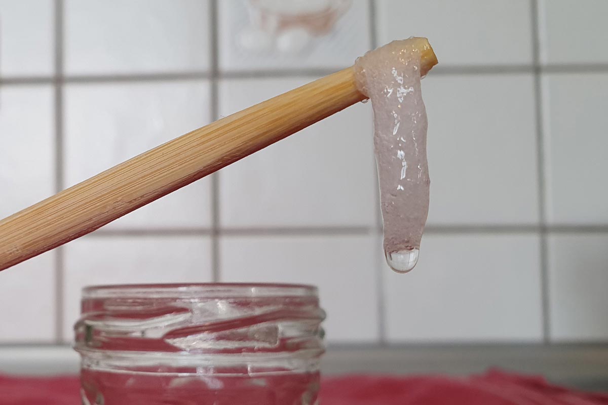 Extracting DNA from bananas