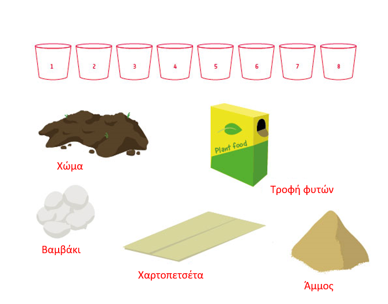 Materials for activity 2, which investigates whether plants need soil