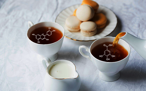 How to Make Tea, According to Scientists