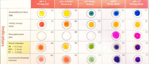 Une feuille de travail de chimie à microéchelle avec des gouttelettes colorées par d’indicateurs de pH.