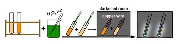 The final steps of activity 3 when the luminescence reaction is triggered