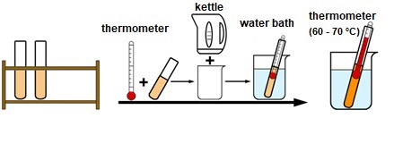 Heating of the second tube in activity 3