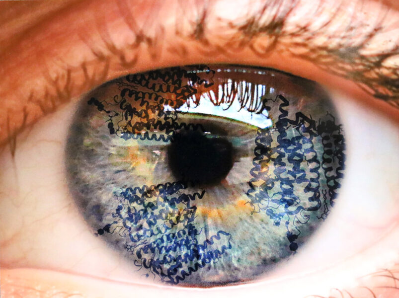 The alpha helical structure of rhodopsin superimposed on the iris of an eye