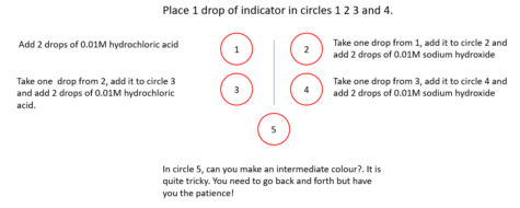 A template sheet for demonstrating reversible reactions.