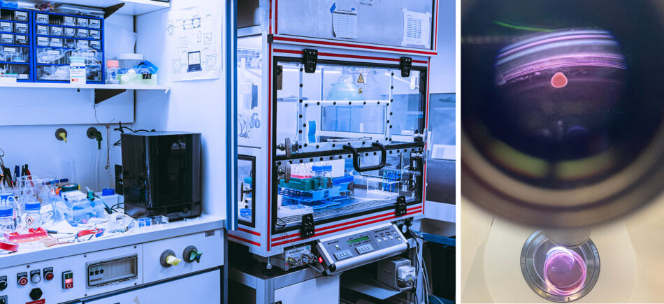 A microfluidics research laboratory and a 3D organoid viewed through a microscope.