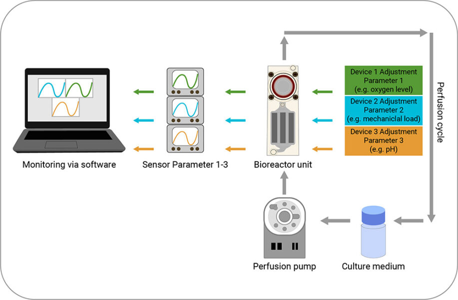 A scheme of microfluid devices incorporating nutrient infusions and monitoring of relevant parameters via sensors.