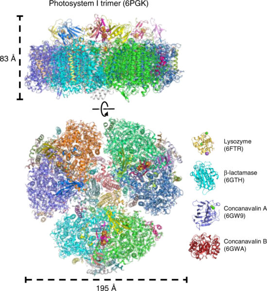 A computer-generated 3D structure of photosystem I.